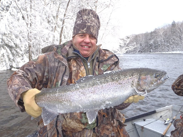 winter steelhead