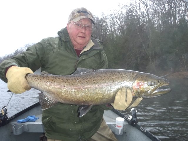 steelhead2012