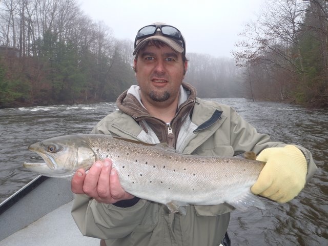 brown salmon river