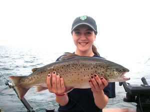 Lake Ontario Brown Trout