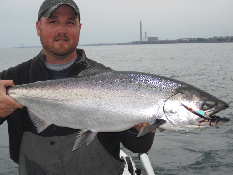 king salmon coldsteel