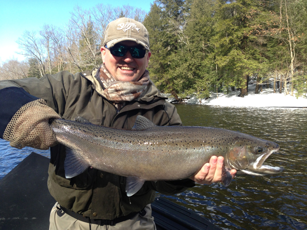 lake ontario steelhead salmon river