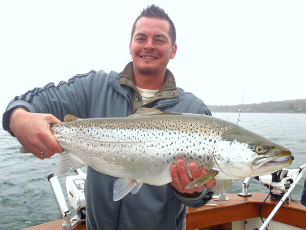 lake ontario steelhead salmon river