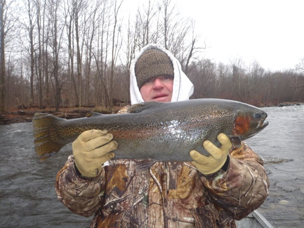 river steelhead