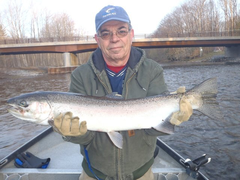 april steelhead