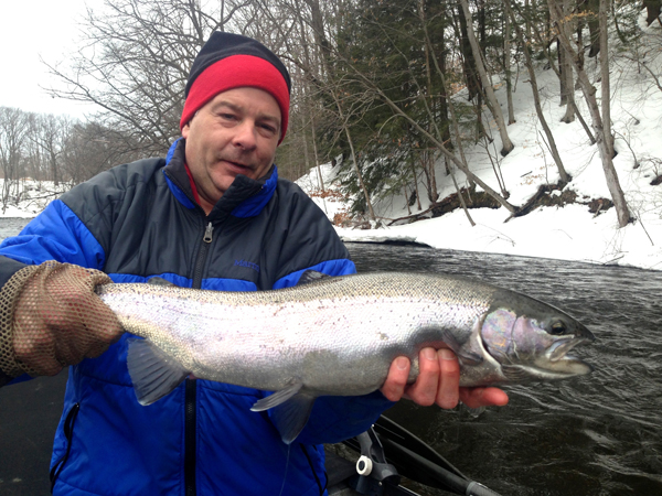 lake ontario steelhead salmon river