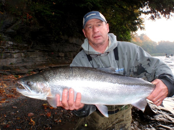 steelhead