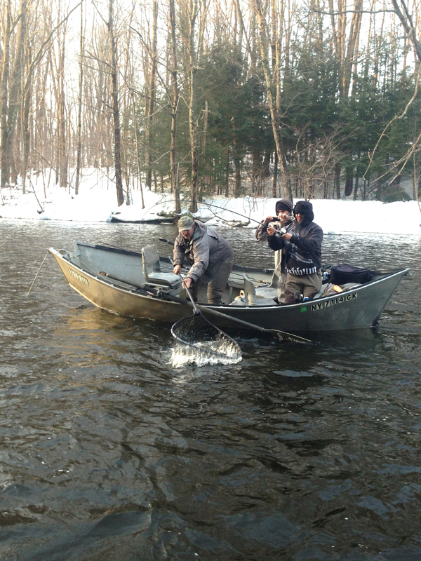 lake ontario steelhead salmon river