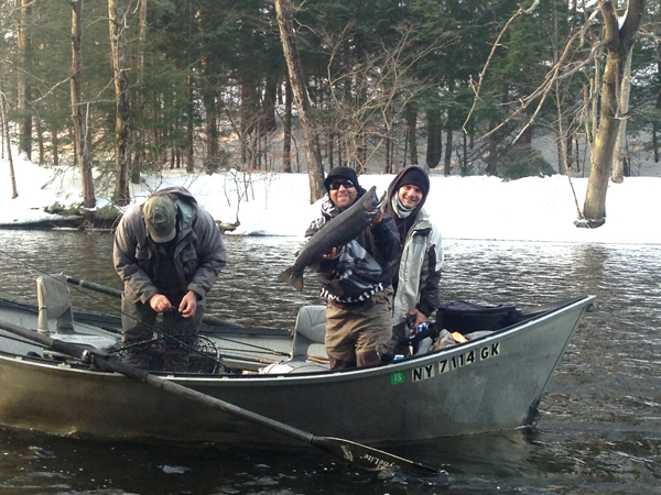 lake ontario steelhead salmon river