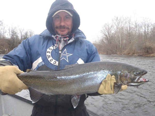 steelhead salmon river