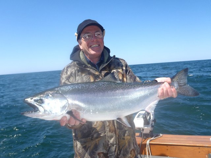 coldsteel king salmon