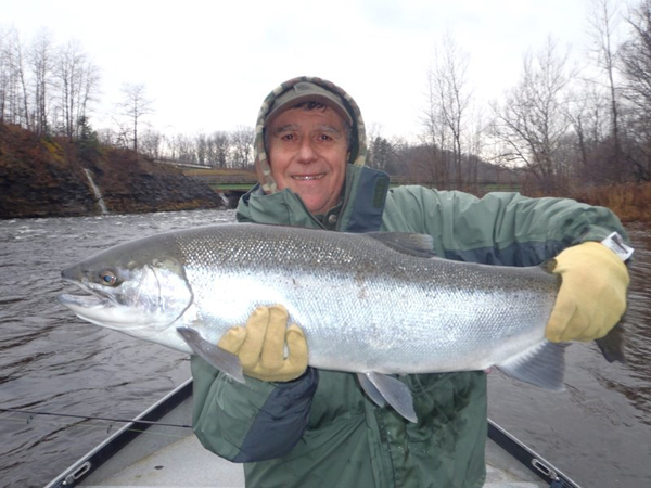 Coldsteel Sportfishing Salmon River and Lake Ontario Fishing Guide